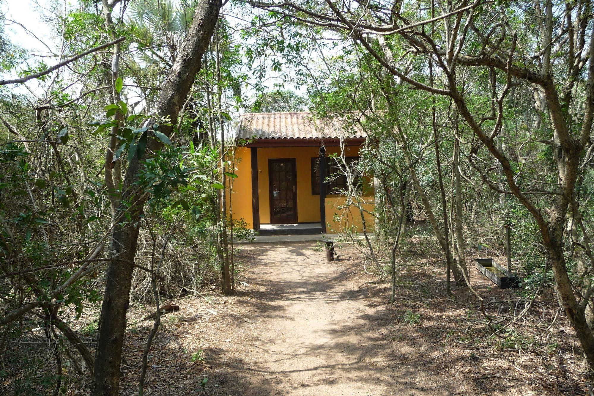 Isinkwe Backpackers Bushcamp Hotel ฮลูฮลูเว ภายนอก รูปภาพ