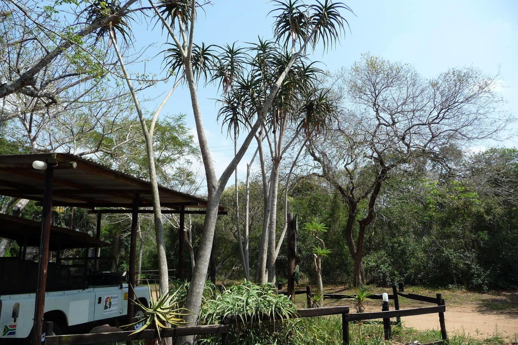 Isinkwe Backpackers Bushcamp Hotel ฮลูฮลูเว ภายนอก รูปภาพ